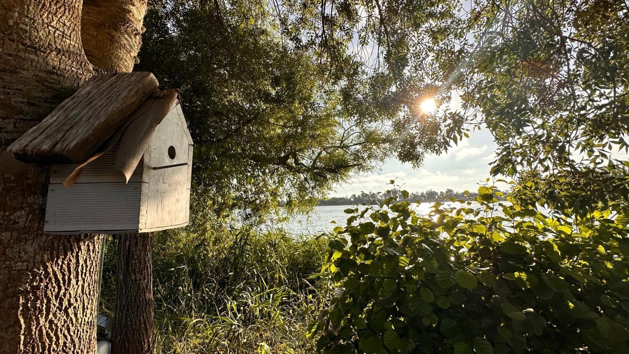 Forest Terrace Praia De Mira Εξωτερικό φωτογραφία