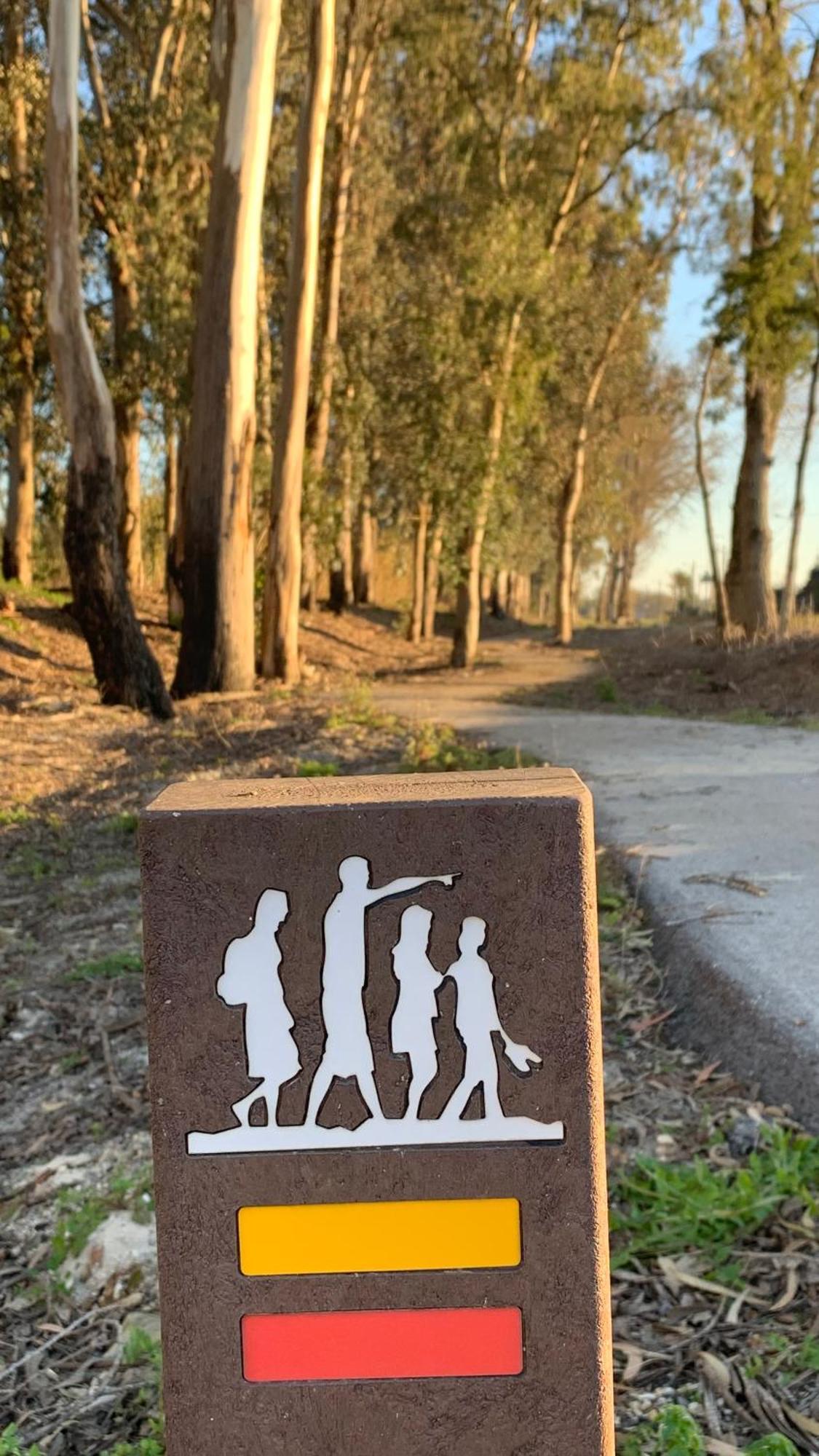 Forest Terrace Praia De Mira Εξωτερικό φωτογραφία